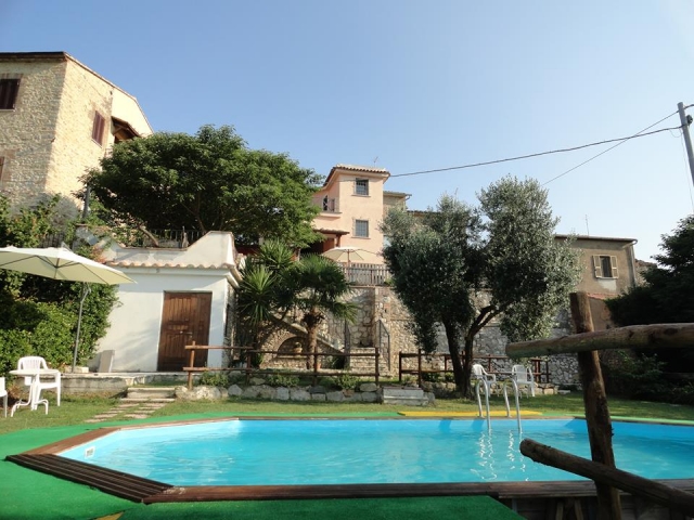 Garden and swimming pool 